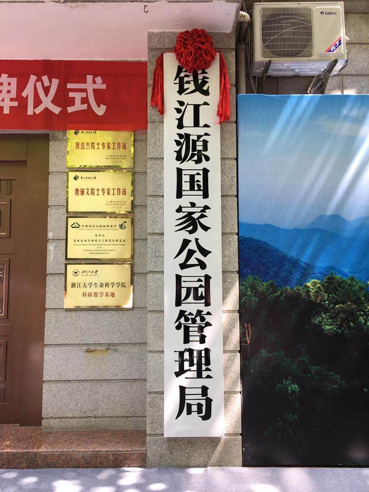 最新林业政策资讯，启程探索自然美景的旅程