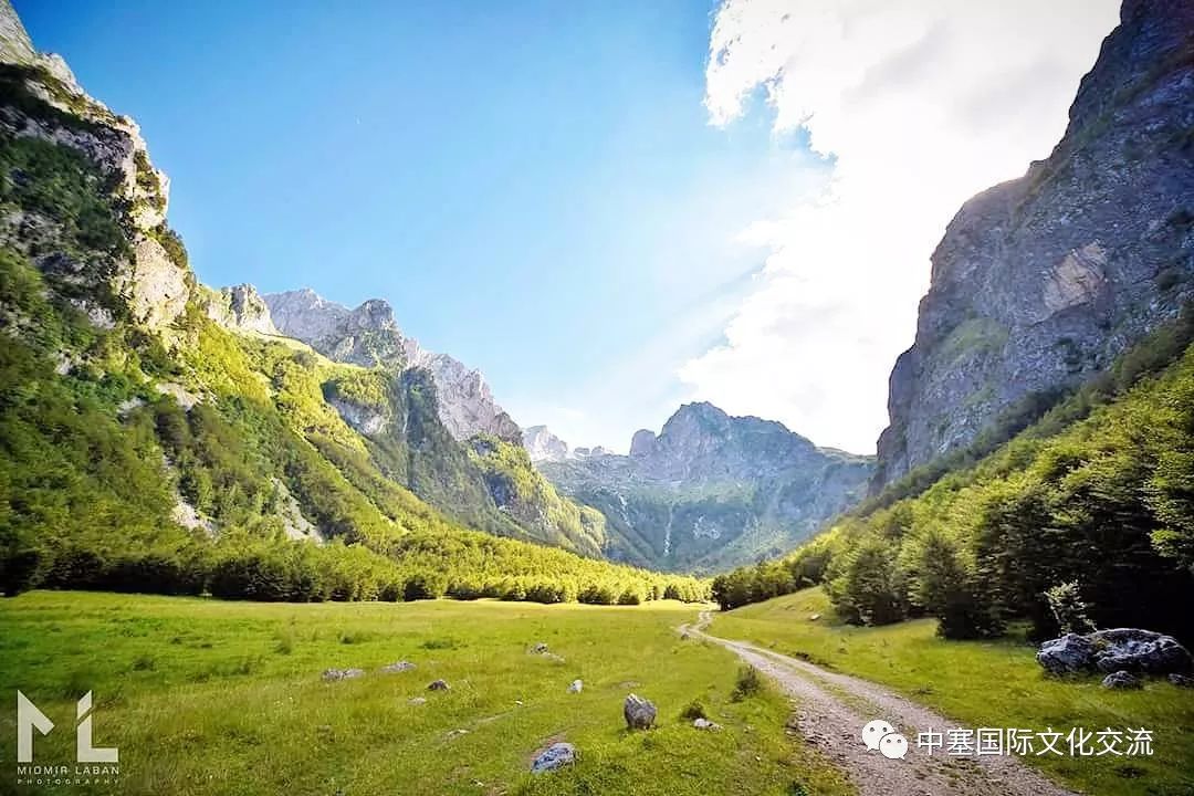 美国最新动作大片，自然美景的治愈之旅探索