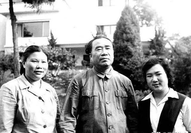 现代都市高干文推荐，权力与情感的交织最新榜单揭秘